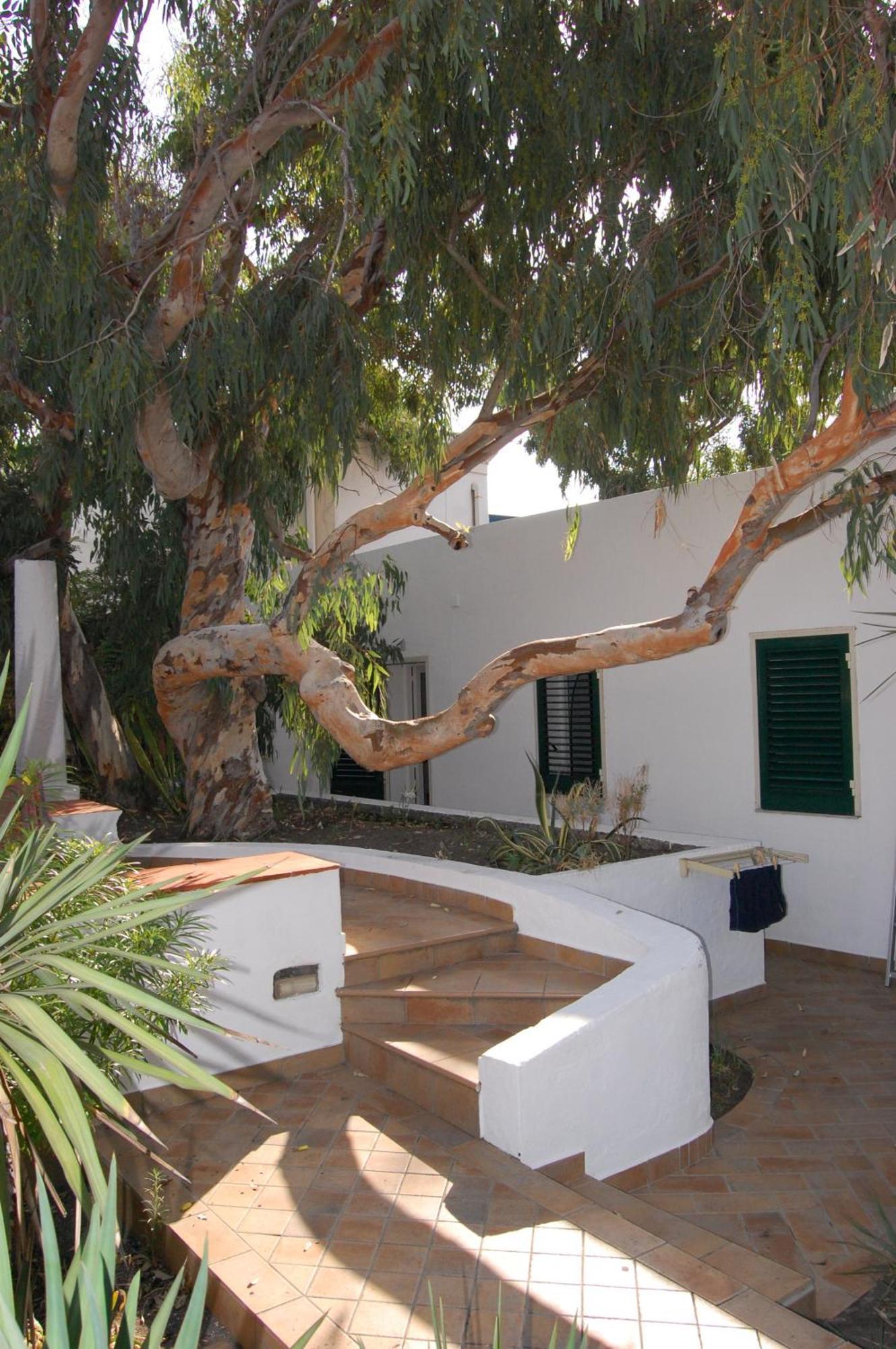 Hotel Conti Vulcano  Dış mekan fotoğraf
